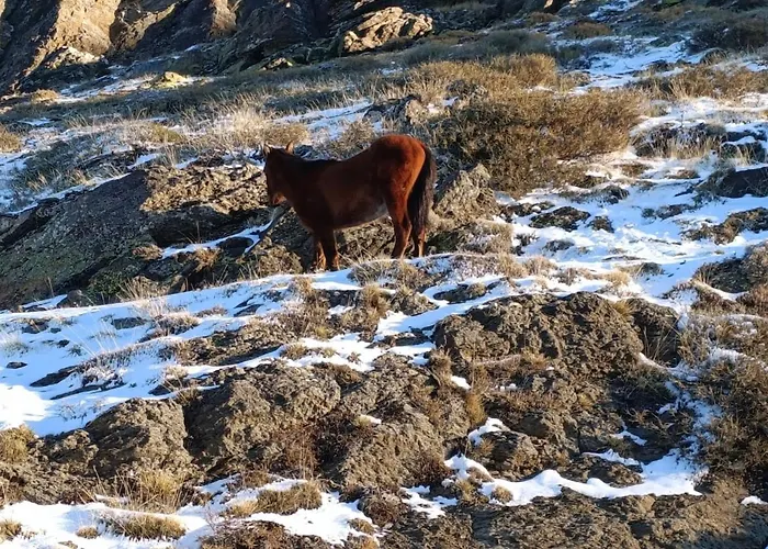 Апартаменты Estudio Cosy Con Garaje, Zona Media, *