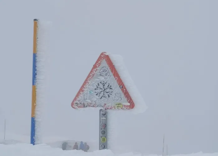 公寓 Estudio Cosy Con Garaje, Zona Media,