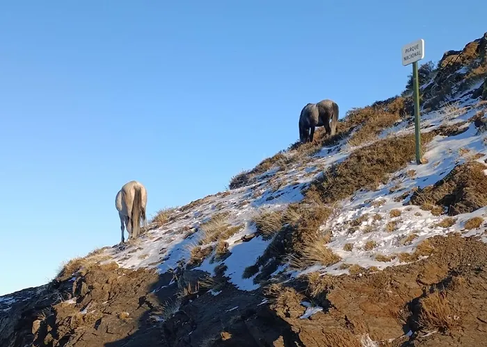 Estudio Cosy Con Garaje, Zona Media, Апартаменты