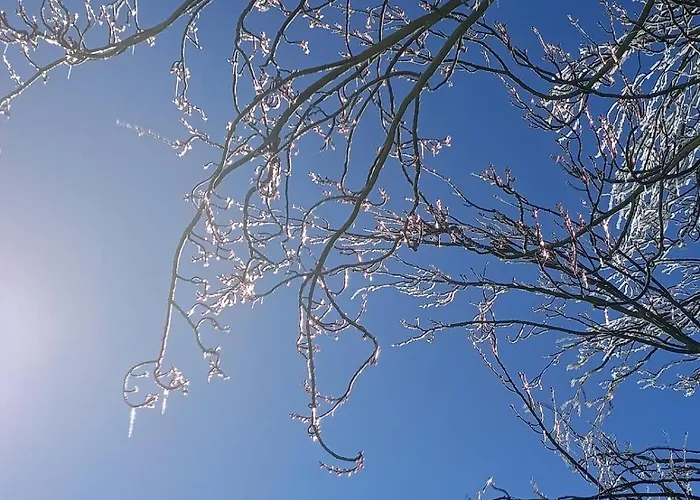 Estudio Cosy Con Garaje, Zona Media,