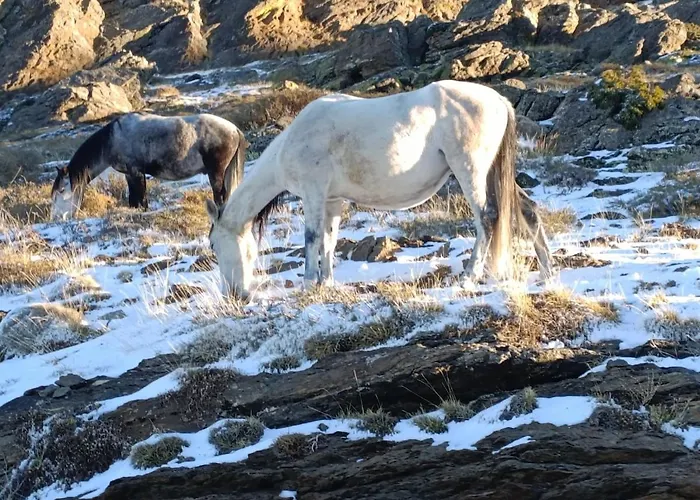 Estudio Cosy Con Garaje, Zona Media, *